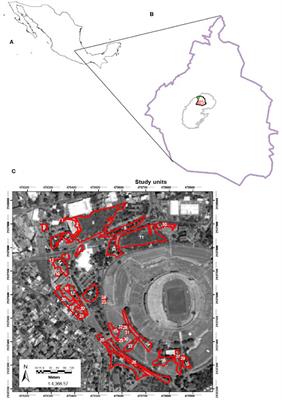 Urban Ecological Restoration: Setting Priorities for Restoring Native Vegetation in Lava Field Remnants in Mexico City